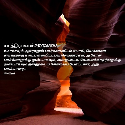 Picture 02 - யாத்திராகமம் 7:10 TAMIRV - மோசேயும் ஆரோனும் - Bible Verse Picture