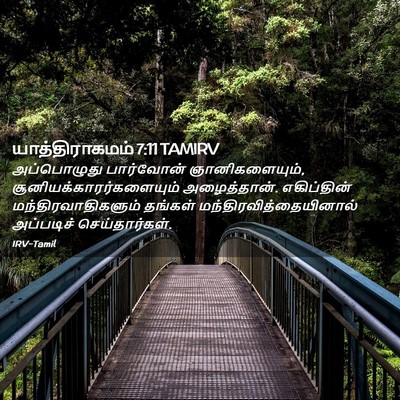 Picture 02 - யாத்திராகமம் 7:11 TAMIRV - அப்பொழுது - Bible Verse Picture