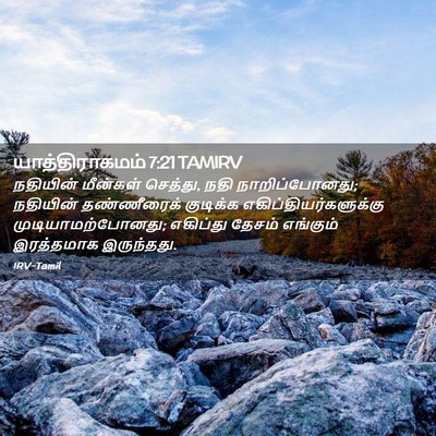 Picture 02 - யாத்திராகமம் 7:21 TAMIRV - நதியின் மீன்கள் - Bible Verse Picture