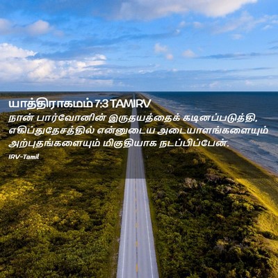 Picture 02 - யாத்திராகமம் 7:3 TAMIRV - நான் பார்வோனின் - Bible Verse Picture