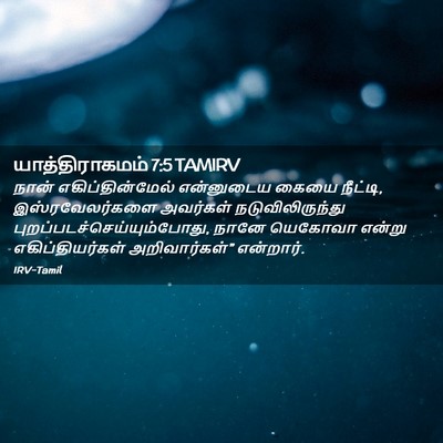 Picture 02 - யாத்திராகமம் 7:5 TAMIRV - நான் - Bible Verse Picture