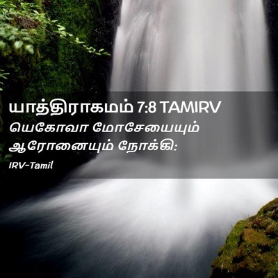 Picture 02 - யாத்திராகமம் 7:8 TAMIRV - யெகோவா மோசேயையும் - Bible Verse Picture