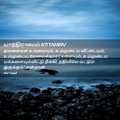 Picture 02 - யாத்திராகமம் 8:11 TAMIRV - தவளைகள் - Bible Verse Picture
