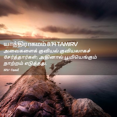 Picture 02 - யாத்திராகமம் 8:14 TAMIRV - அவைகளைக் குவியல் - Bible Verse Picture