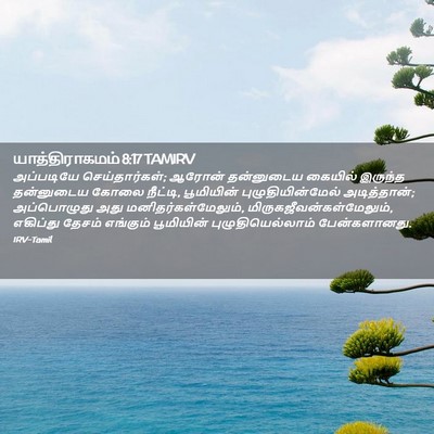 Picture 02 - யாத்திராகமம் 8:17 TAMIRV - அப்படியே - Bible Verse Picture