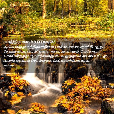Picture 02 - யாத்திராகமம் 8:19 TAMIRV - அப்பொழுது - Bible Verse Picture