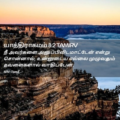 Picture 02 - யாத்திராகமம் 8:2 TAMIRV - நீ அவர்களை - Bible Verse Picture
