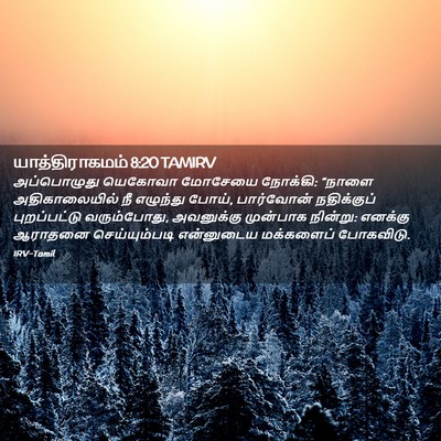Picture 02 - யாத்திராகமம் 8:20 TAMIRV - அப்பொழுது யெகோவா - Bible Verse Picture