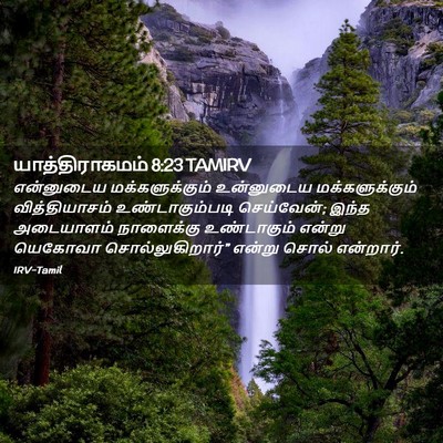 Picture 02 - யாத்திராகமம் 8:23 TAMIRV - என்னுடைய - Bible Verse Picture