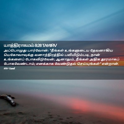 Picture 02 - யாத்திராகமம் 8:28 TAMIRV - அப்பொழுது - Bible Verse Picture