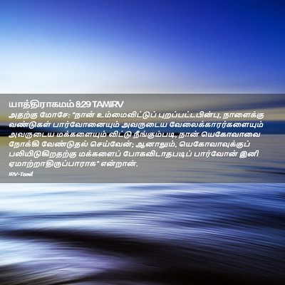 Picture 02 - யாத்திராகமம் 8:29 TAMIRV - அதற்கு மோசே: “நான் - Bible Verse Picture
