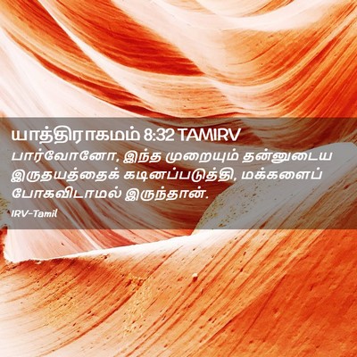 Picture 02 - யாத்திராகமம் 8:32 TAMIRV - பார்வோனோ, இந்த - Bible Verse Picture
