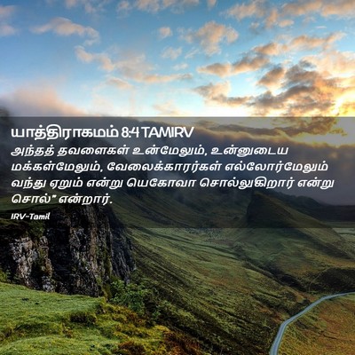 Picture 02 - யாத்திராகமம் 8:4 TAMIRV - அந்தத் தவளைகள் - Bible Verse Picture