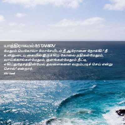 Picture 02 - யாத்திராகமம் 8:5 TAMIRV - மேலும் யெகோவா - Bible Verse Picture