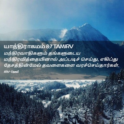 Picture 02 - யாத்திராகமம் 8:7 TAMIRV - மந்திரவாதிகளும் - Bible Verse Picture