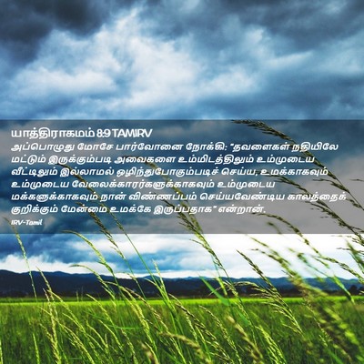 Picture 02 - யாத்திராகமம் 8:9 TAMIRV - அப்பொழுது மோசே - Bible Verse Picture
