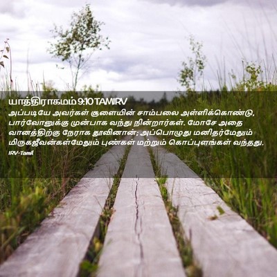 Picture 02 - யாத்திராகமம் 9:10 TAMIRV - அப்படியே அவர்கள் - Bible Verse Picture