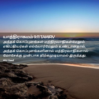 Picture 02 - யாத்திராகமம் 9:11 TAMIRV - அந்தக் - Bible Verse Picture