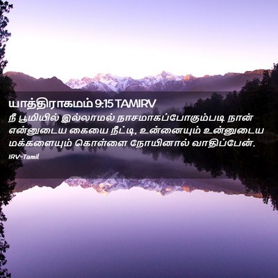 Picture 02 - யாத்திராகமம் 9:15 TAMIRV - நீ பூமியில் - Bible Verse Picture