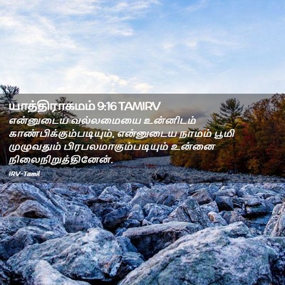Picture 02 - யாத்திராகமம் 9:16 TAMIRV - என்னுடைய வல்லமையை - Bible Verse Picture