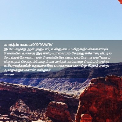 Picture 02 - யாத்திராகமம் 9:19 TAMIRV - இப்பொழுதே ஆள் - Bible Verse Picture