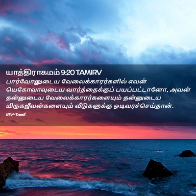 Picture 02 - யாத்திராகமம் 9:20 TAMIRV - பார்வோனுடைய - Bible Verse Picture