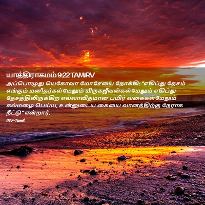 Picture 02 - யாத்திராகமம் 9:22 TAMIRV - அப்பொழுது யெகோவா - Bible Verse Picture
