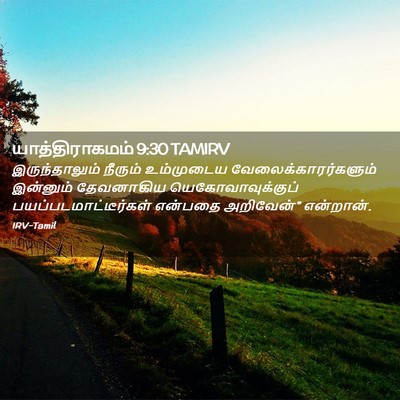 Picture 02 - யாத்திராகமம் 9:30 TAMIRV - இருந்தாலும் - Bible Verse Picture