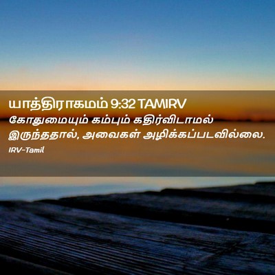 Picture 02 - யாத்திராகமம் 9:32 TAMIRV - கோதுமையும் - Bible Verse Picture