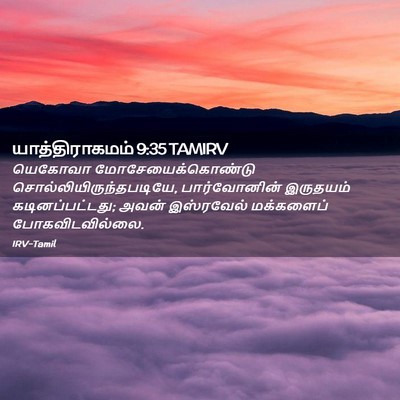 Picture 02 - யாத்திராகமம் 9:35 TAMIRV - யெகோவா - Bible Verse Picture