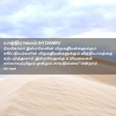 Picture 02 - யாத்திராகமம் 9:4 TAMIRV - யெகோவா இஸ்ரவேலின் - Bible Verse Picture