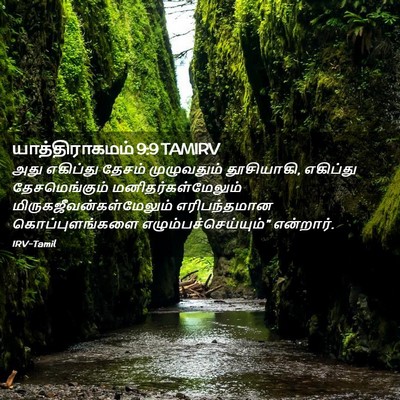Picture 02 - யாத்திராகமம் 9:9 TAMIRV - அது எகிப்து தேசம் - Bible Verse Picture