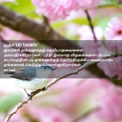 Picture 02 - யூதா 1:10 TAMIRV - இவர்கள் - Bible Verse Picture