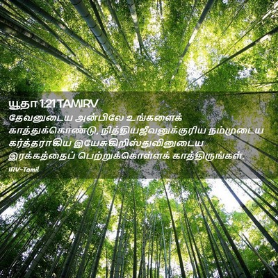 Picture 02 - யூதா 1:21 TAMIRV - தேவனுடைய அன்பிலே - Bible Verse Picture