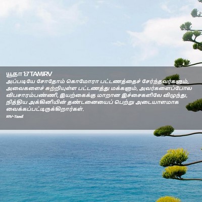 Picture 02 - யூதா 1:7 TAMIRV - அப்படியே சோதோம் - Bible Verse Picture