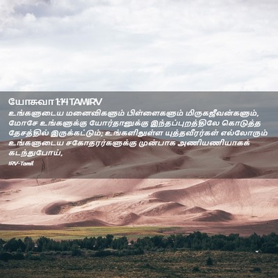 Picture 02 - யோசுவா 1:14 TAMIRV - உங்களுடைய - Bible Verse Picture