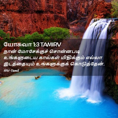 Picture 02 - யோசுவா 1:3 TAMIRV - நான் மோசேக்குச் - Bible Verse Picture
