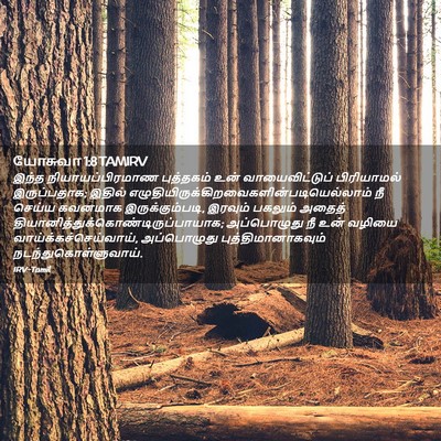 Picture 02 - யோசுவா 1:8 TAMIRV - இந்த - Bible Verse Picture