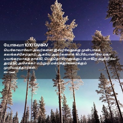 Picture 02 - யோசுவா 10:10 TAMIRV - யெகோவாவோ அவர்களை - Bible Verse Picture