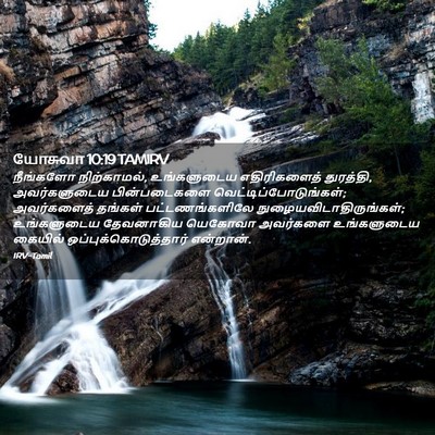 Picture 02 - யோசுவா 10:19 TAMIRV - நீங்களோ - Bible Verse Picture