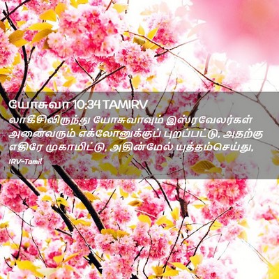 Picture 02 - யோசுவா 10:34 TAMIRV - லாகீசிலிருந்து - Bible Verse Picture