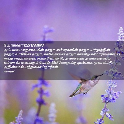 Picture 02 - யோசுவா 10:5 TAMIRV - அப்படியே - Bible Verse Picture