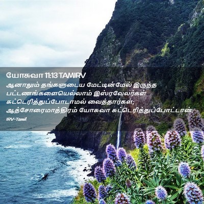 Picture 02 - யோசுவா 11:13 TAMIRV - ஆனாலும் தங்களுடைய - Bible Verse Picture