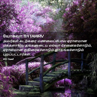 Picture 02 - யோசுவா 11:4 TAMIRV - அவர்கள் கடற்கரை - Bible Verse Picture