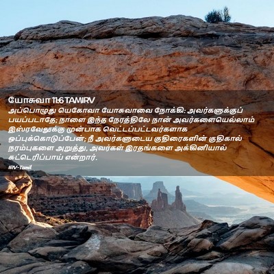 Picture 02 - யோசுவா 11:6 TAMIRV - அப்பொழுது யெகோவா - Bible Verse Picture