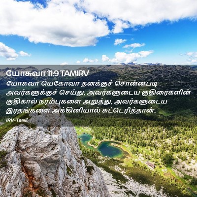 Picture 02 - யோசுவா 11:9 TAMIRV - யோசுவா யெகோவா - Bible Verse Picture
