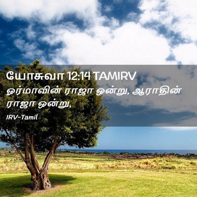 Picture 02 - யோசுவா 12:14 TAMIRV - ஓர்மாவின் ராஜா - Bible Verse Picture