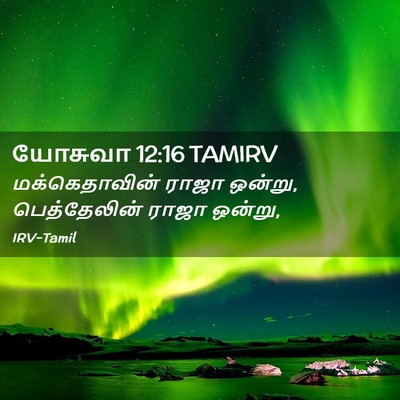 Picture 02 - யோசுவா 12:16 TAMIRV - மக்கெதாவின் ராஜா - Bible Verse Picture