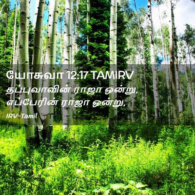 Picture 02 - யோசுவா 12:17 TAMIRV - தப்புவாவின் ராஜா - Bible Verse Picture