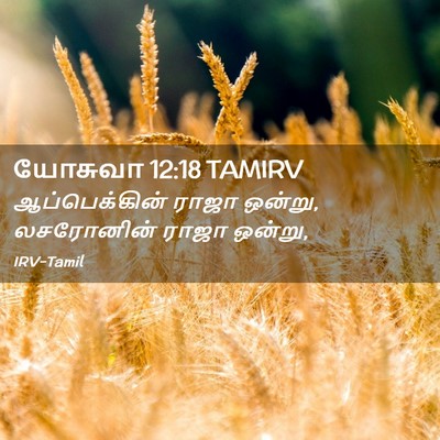 Picture 02 - யோசுவா 12:18 TAMIRV - ஆப்பெக்கின் ராஜா - Bible Verse Picture